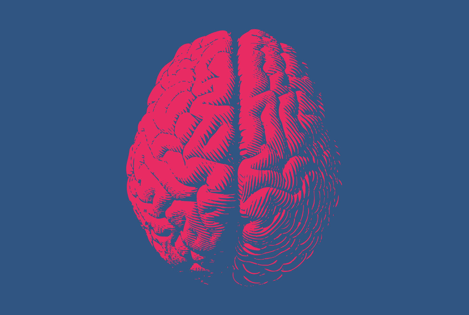 stock image of brain