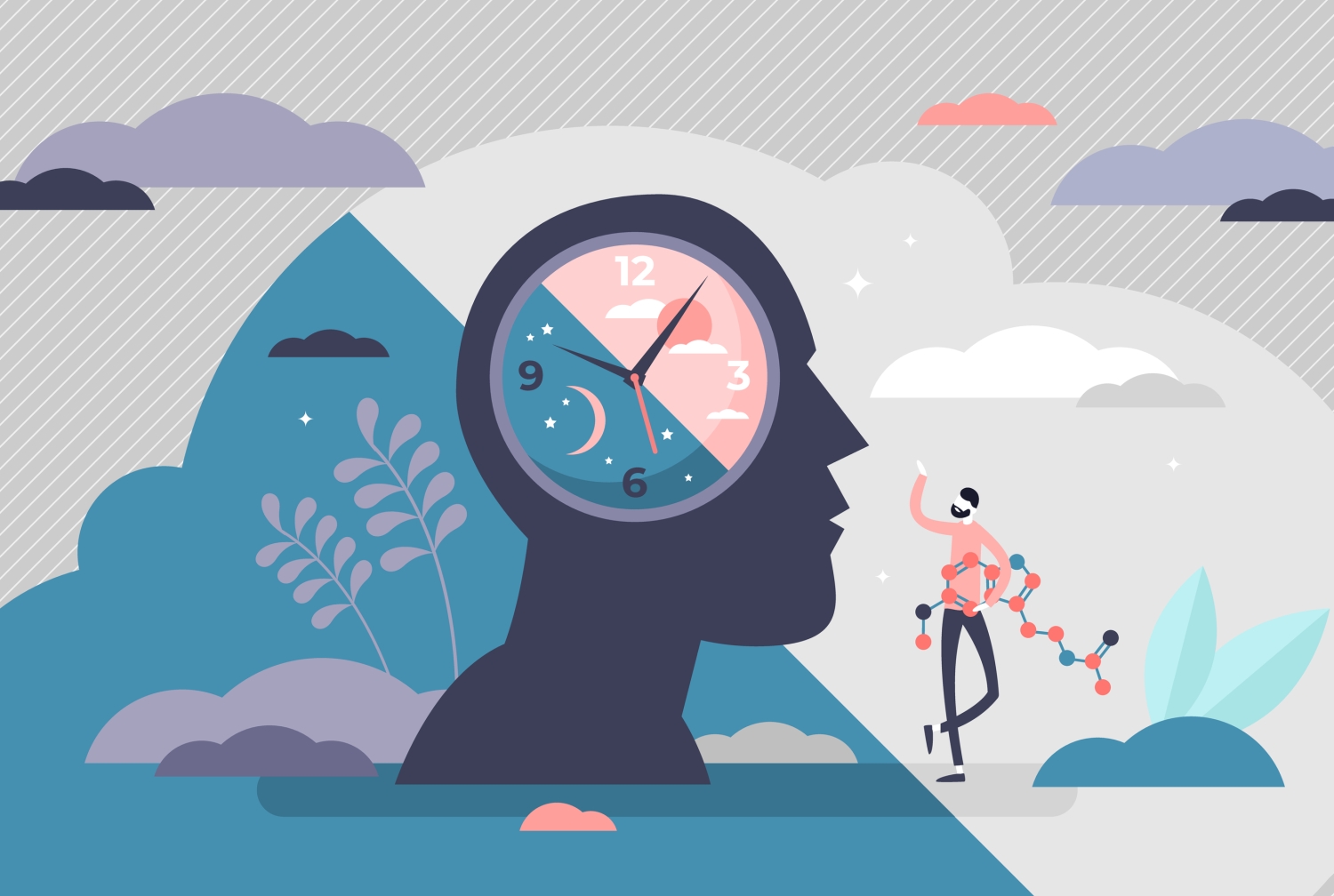 illustration of a person&#039;s head with a circadian clock