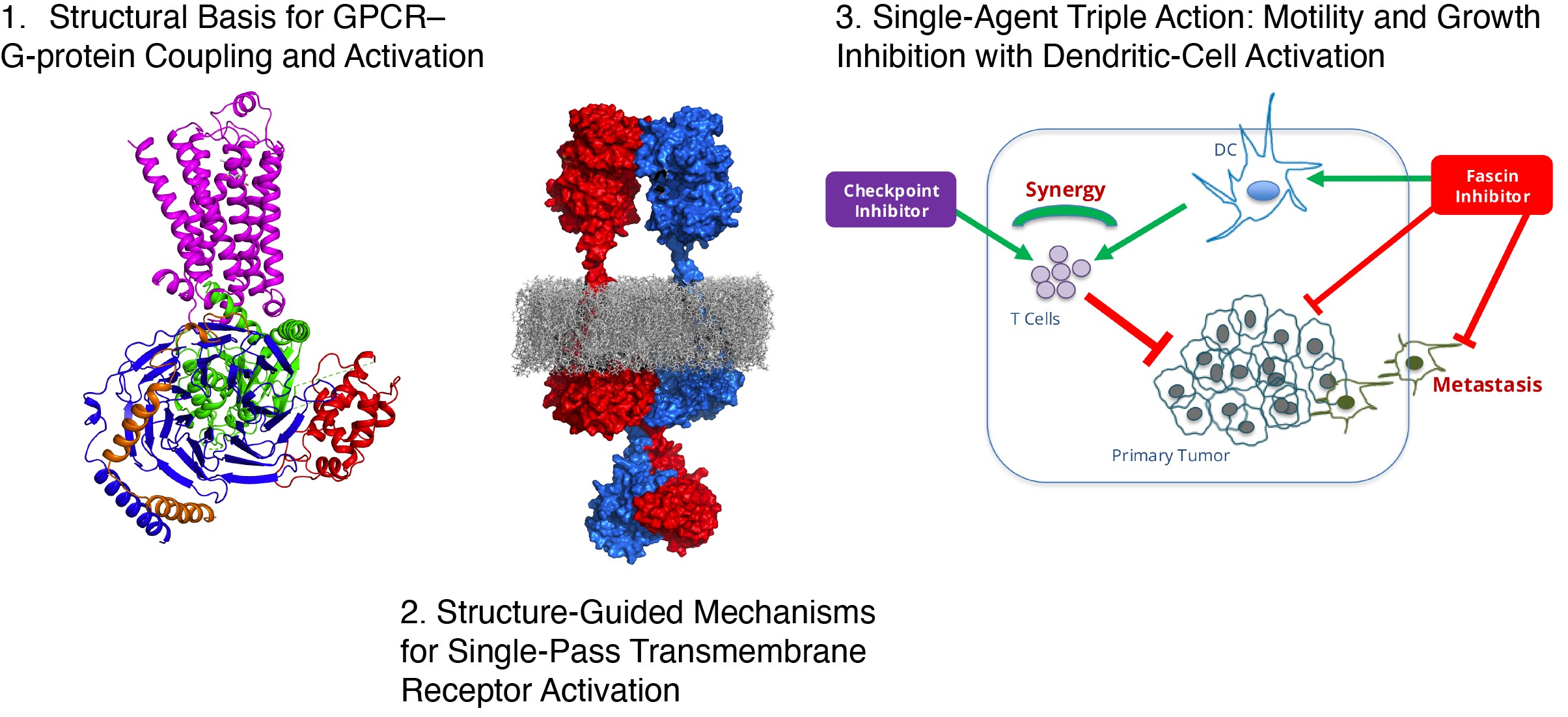 Huang Lab research