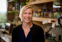 Dr. Samara Reck-Peterson Named Chair of the Department of Biochemistry and Biophysics at Weill Cornell Medicine